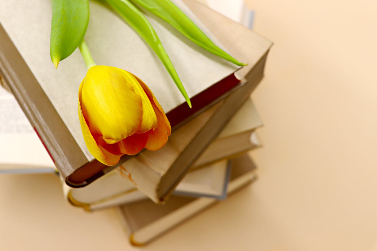 Stack of books with a yellow tulip on top, ideal for study and reading themes.